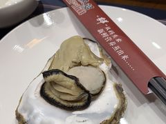 -77号渔船·蒸海鲜青岛菜(积米崖店)