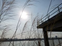 -广州市紫泥堂文化创意园景区
