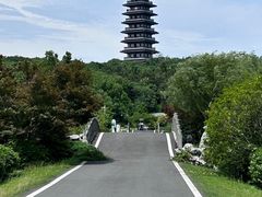 -宜兴龙背山森林公园