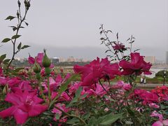 -立新湖公园