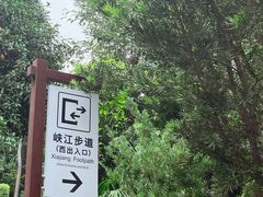 -铁山坪森林公园