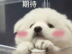 -泰康拜博口腔(凯迪大厦店)