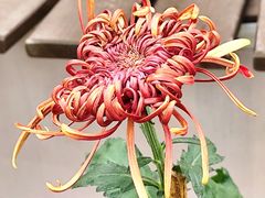 -共青国家森林公园-售票处