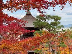 -常寂光寺