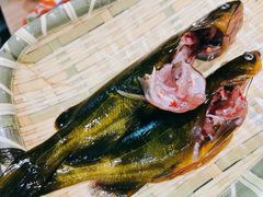 -铭记蛙小仙·活蛙畅享(CBD万达广场店)