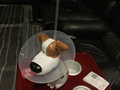 -首都电影院(天津店 中国巨幕)