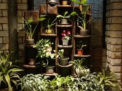 -慢丽江·云南野生菌土鸡锅(付家庄店)
