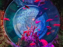 -沈阳海洋探索中心