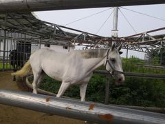 -松声马术俱乐部