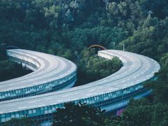 -深圳市中科院仙湖植物园