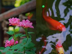 -大学习巷清真寺