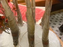 -洪氏嗨捞·猪肚鸡火锅(阳光天地店)
