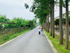 -上海长兴岛郊野公园