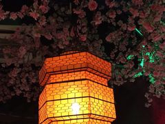 -荷塘秋月·本帮江浙菜(国权路店)