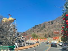 -秦岭天竺山生态文化旅游景区