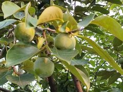 -星美国际影商城(黄龙店)