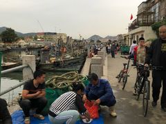 -青岛沙子口国家中心渔港