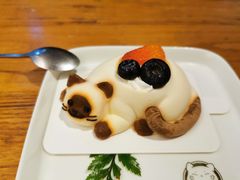 -猫小院猫主题咖啡厅(北锣店)