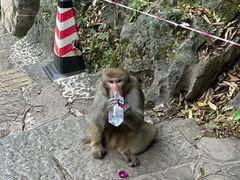 -黔灵山公园