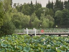-梅林春晓花园餐厅