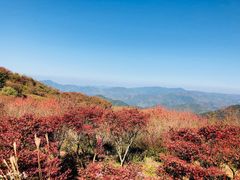 -四明山国家森林公园