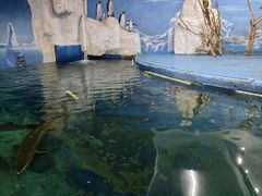 -泉州海丝野生动物世界