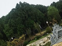 -泰山风景名胜区-虎山公园