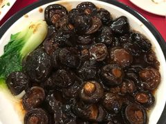 -田园小观园(武大店)