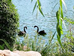 -长春市南湖公园