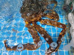 -来之顺海鲜菜馆·青岛菜·始于1993(栈桥店)