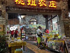 -桃姐农庄老字号(从化温泉店)