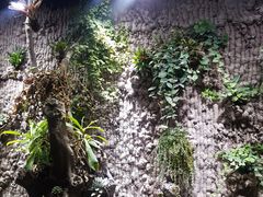 -春天国际影城(中庚漫游城杜比全景声店)