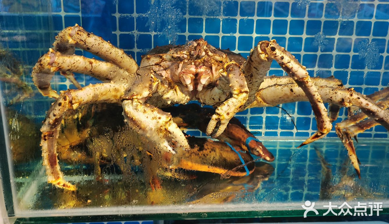 哇噻，这家隐藏在角落里的海鲜店的美食也太该吃了吧