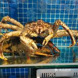 哇噻，这家隐藏在角落里的海鲜店的美食也太该吃了吧