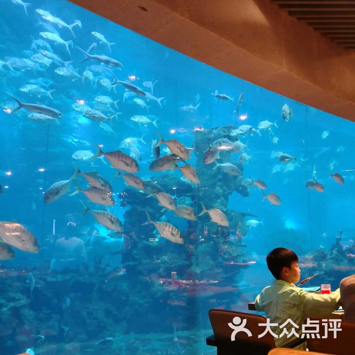 天房洲际度假酒店-海底餐厅 涛餐厅