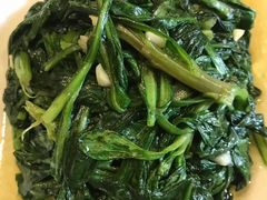-丁老爷子苏香圆