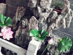 -知足堂养生会所(碑亭巷店)