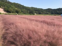 -蛇蟠岛