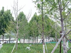 -雁滩公园