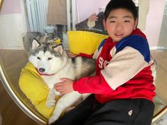 -Husky Go! 哈士奇体验馆·宠物咖啡厅狗咖