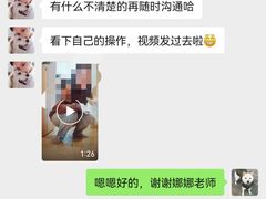 -多乐狗狗宠物训练工作室