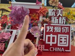-合肥新桥国际机场-航站楼