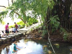 -广州市石门国家森林公园