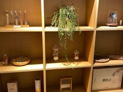 -左悦·艾灸调理·推拿按摩·精油SPA(卓悦汇店)