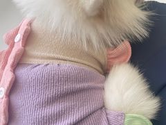 -怪兽屋·羊驼·猫咖·狗咖(俊华广场店)