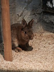 -Zoolung Zoolung动物主题公园(海信广场店)