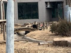 -沈阳森林动物园