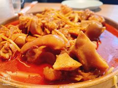 姜丝猪蹄-苦尽酒馆·川菜(鼓楼店)
