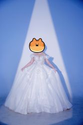 -金夫人婚纱摄影(华南店)