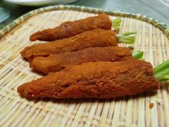 -丁老爷子苏香圆